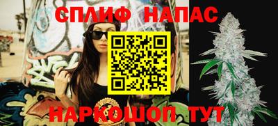 mdpv Дубна