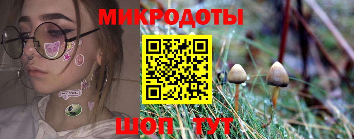 Псилоцибиновые грибы Psilocybe Ливны